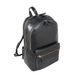 Рюкзак туристический Ashwood G38 Black Фото 1