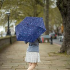 Зонт Fulton L553-041239 Superslim-2 Ditsy Hearts Фото 2