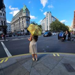 Зонт Fulton National Gallery Tiny-2 L794 Sunflowers Фото 4