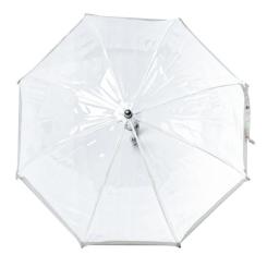 Зонт Fulton Funbrella-2 C603 Silver Фото 1