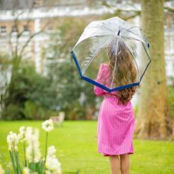 Зонт Fulton Birdcage-1 L041 Navy Фото 2