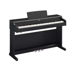 Цифровое пианино Yamaha Arius YDP-165 Black Фото