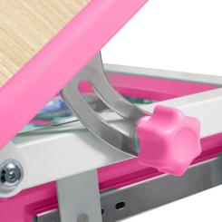 Парта со стулом FunDesk Piccolino III Pink-w Фото 4