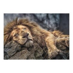 Пазл Trefl Спящий лев 1000 элементов Фото 1