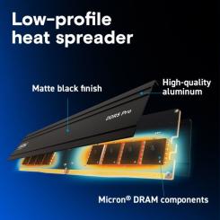Модуль памяти для компьютера Micron DDR5 16GB 5600 MHz Фото 4