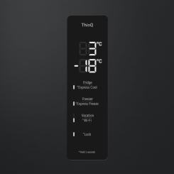 Холодильник LG GW-B509FXUW Фото 8