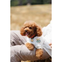 Футболка для животных Pet Fashion Maryana S Фото 9
