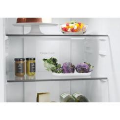 Холодильник Candy CNCQ2T518EW Фото 9