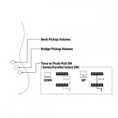 Бас-гитара FGN Neoclassic NJB See-Thru Blue Burst Фото 8