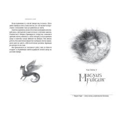 Книга А-ба-ба-га-ла-ма-га Вершники дощу - Катерина Штанко Фото 4