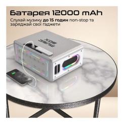 Акустическая система HiFuture MusicBox 100W Silver Фото 3
