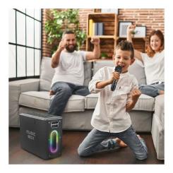 Акустическая система HiFuture MusicBox 100W Silver Фото 7