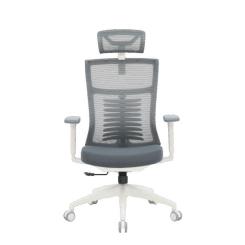 Офисное кресло OfficePro Balance OC550-W-DG-DG Фото