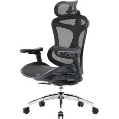 Офисное кресло Sihoo DORO C300L Mesh Black Фото
