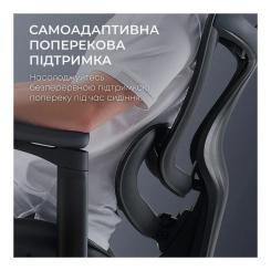 Офисное кресло Sihoo DORO C300L Mesh Black Фото 7
