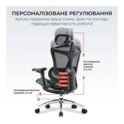 Офисное кресло Sihoo DORO C300L Mesh Black Фото 8