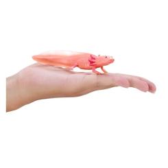 Фигурка Mojo Аксолотль Фото 5