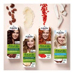 Краска для волос Palette Naturals без аммиака 3-68 Шоколадно-каштановый Фото 1