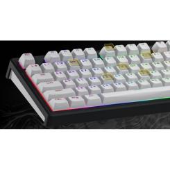 Клавиатура Hator Skyfall 80 Wireless Black/White Фото 7