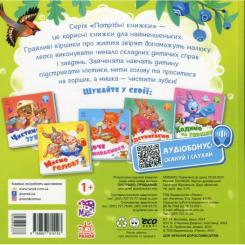 Книга Ранок Пустушко, прощавай - Геннадій Меламед Фото 2