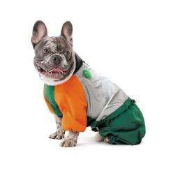 Дождевик для животных Pet Fashion Marlie S (такса) Фото 3