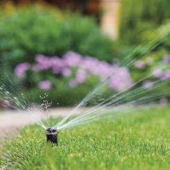 Таймер-розетка EMOS P5526N Фото 7