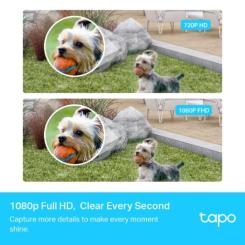 Камера видеонаблюдения TP-Link TAPO-C400S2 Фото 5