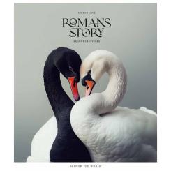 Тетрадь Школярик Romance stories 48 листов клетка Фото 2