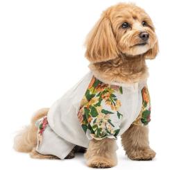 Футболка для животных Pet Fashion Соломія S Фото 1