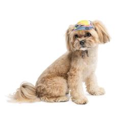 Кепка для животных Pet Fashion Tony L Фото 2