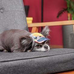 Кепка для животных Pet Fashion Tony L Фото 3