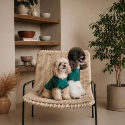 Футболка для животных Pet Fashion Seaman ХS2 Фото 4