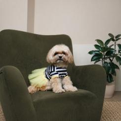 Платье для животных Pet Fashion Liana XS Фото 3