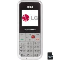 Мобильный телефон LG GS107 Silver Фото