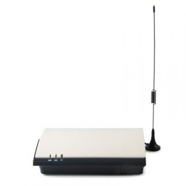 Межсетевой GSM-шлюз Orgtel WT-210 Фото