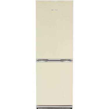 Холодильник Snaige RF31SM-S1DA21 Фото 1