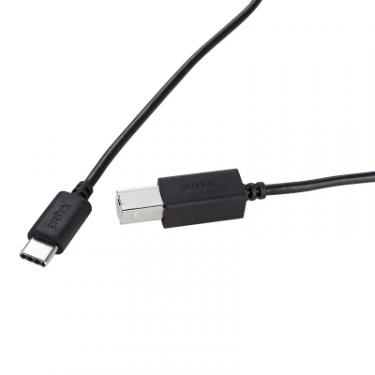 Кабель для принтера Prolink USB-C to USB 2.0 BM 1.0m Фото