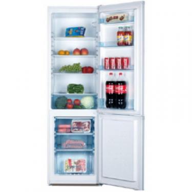 Холодильник Delfa DBFM-180 Фото 2