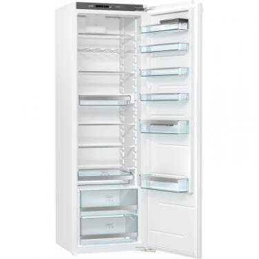Холодильник Gorenje RI2181A1 Фото