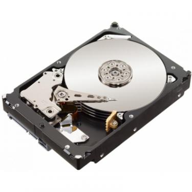 Жесткий диск Seagate 3.5" 500GB Фото