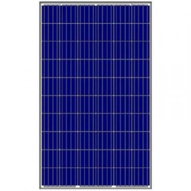 Солнечная панель Amerisolar 280W 5BB, Poly, 1000V, рама 35мм Фото