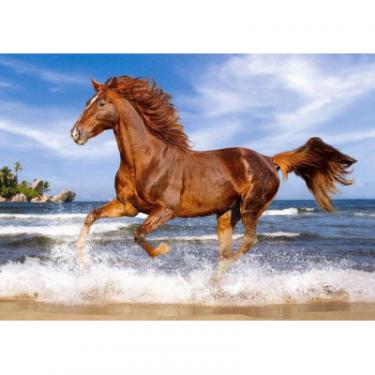 Пазл Castorland Лошадь на пляже Фото 1
