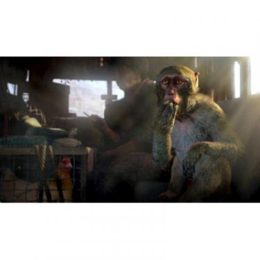 Игра Sony Комплект «Far Cry 4» + «Far Cry 5» [PS4, Russian v Фото 3