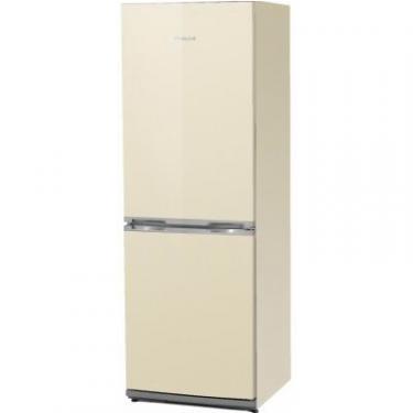 Холодильник Snaige RF56SM-S5DP210 Фото