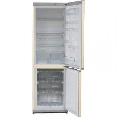 Холодильник Snaige RF56SM-S5DP210 Фото 1