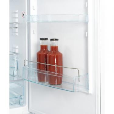 Холодильник Snaige RF56SM-S5JJ210 Фото 6
