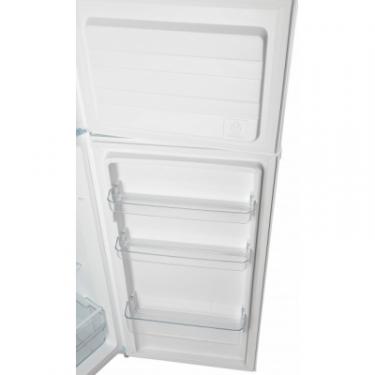 Холодильник Elenberg TMF 143 Фото 9
