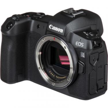 Цифровой фотоаппарат Canon EOS R Body Фото 10