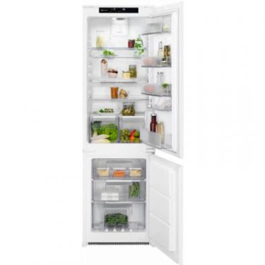 Холодильник Electrolux RNS7TE18S Фото