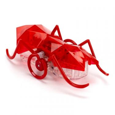 Интерактивная игрушка Hexbug Нано-робот Micro Ant Фото